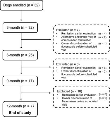 Serial evaluation of liver enzyme activities in dogs with pulmonary coccidioidomycosis administered per os fluconazole